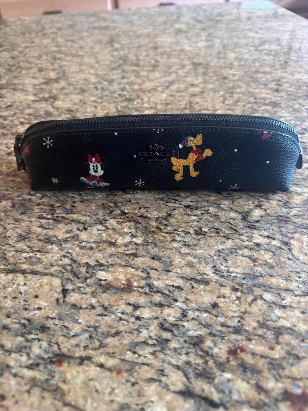 Coach Disney X Pencil Case with Holiday Print